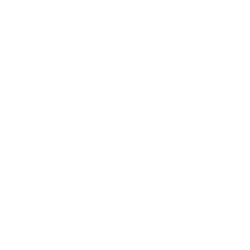 Record Store logo
